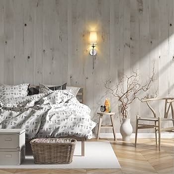 Z-Lite 807-1S-PN - Wall Sconces Indoor Lighting - Amazon.com