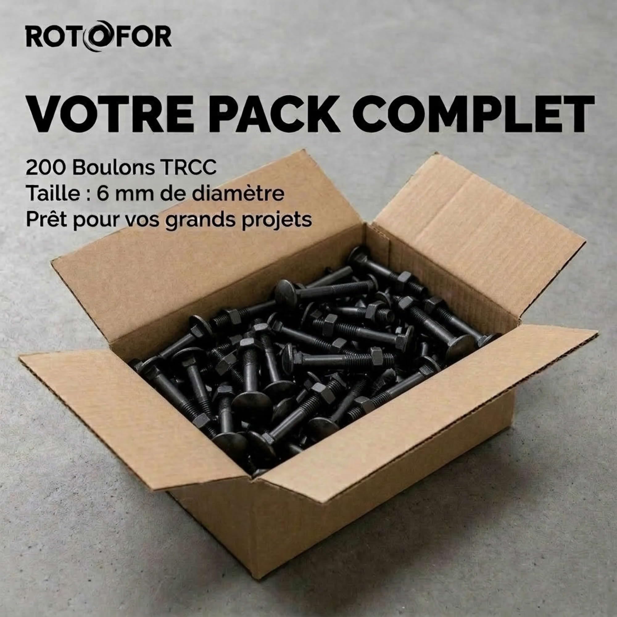 200 Boulons tête ronde collet carré DIN603/555 acier zingués Noir - diamètre 6,0 mm - Longueur 50 mm mm - Diamètre 6 mm