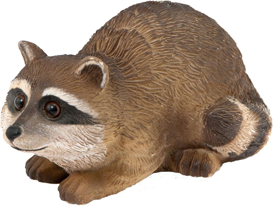 C3616 Crouching Raccoon Statue