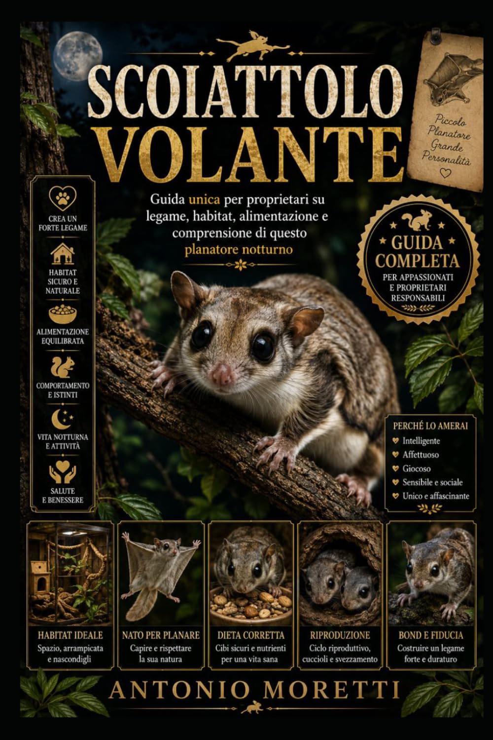 SCOIATTOLO VOLANTE: Guida unica per proprietari su legame, habitat, alimentazione e comprensione di questo planatore notturno