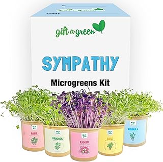 SYMPATHY Organic Microgreens Grow Kit by GIFT-A-GREEN | Send a Memorable Sympathy Gift Basket Where the Recipient Gets to Grow Organic Kale, Arugula, Basil, Radish, Broccoli Microgreens