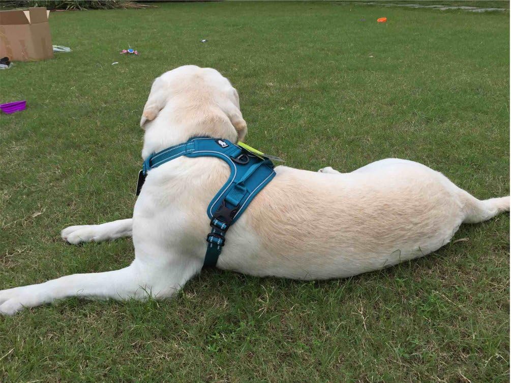 SGODA Dog Harness Front Harness with Handle, Nylon with 3M Reflective Dog Vest, X-Small, Blue