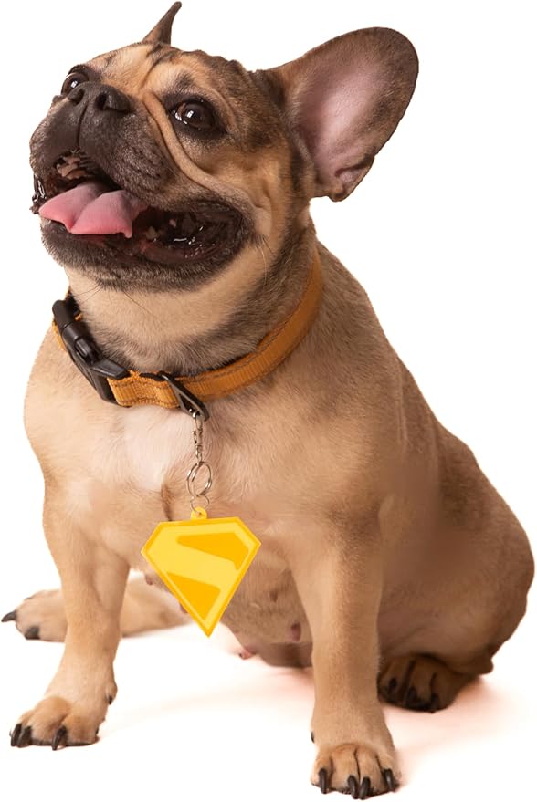 Placa de Identificación de Silicona Gold para Perro ComfyCamper - Talla Única miniatura 2