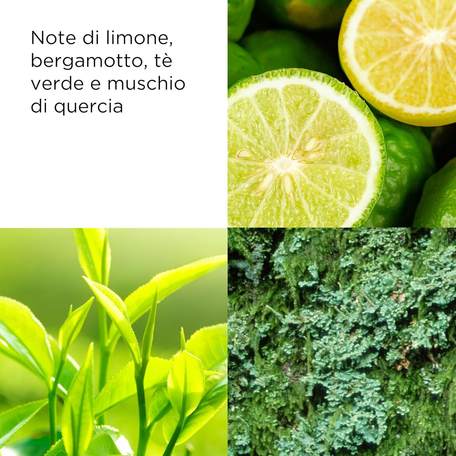 Elizabeth Arden - Green Tea Eau Parfum, Profumo Femminile con Essenze Naturali di Tè Verde e Bergamotto, Rinfrescante, Floreale e Agrumato, Risveglia i Sensi, Energizzante, Profumo per Donne