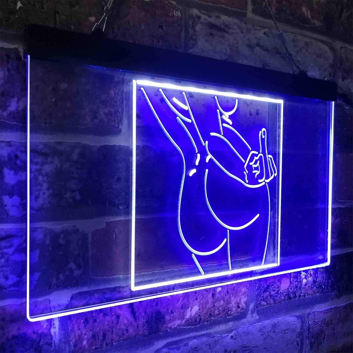 ADVPRO Bad Bitch Middle Finger FXXK Girl Room Dual Color LED Neon Sign White & Blue 12 x 8 Inches st6s32-i3799-wb