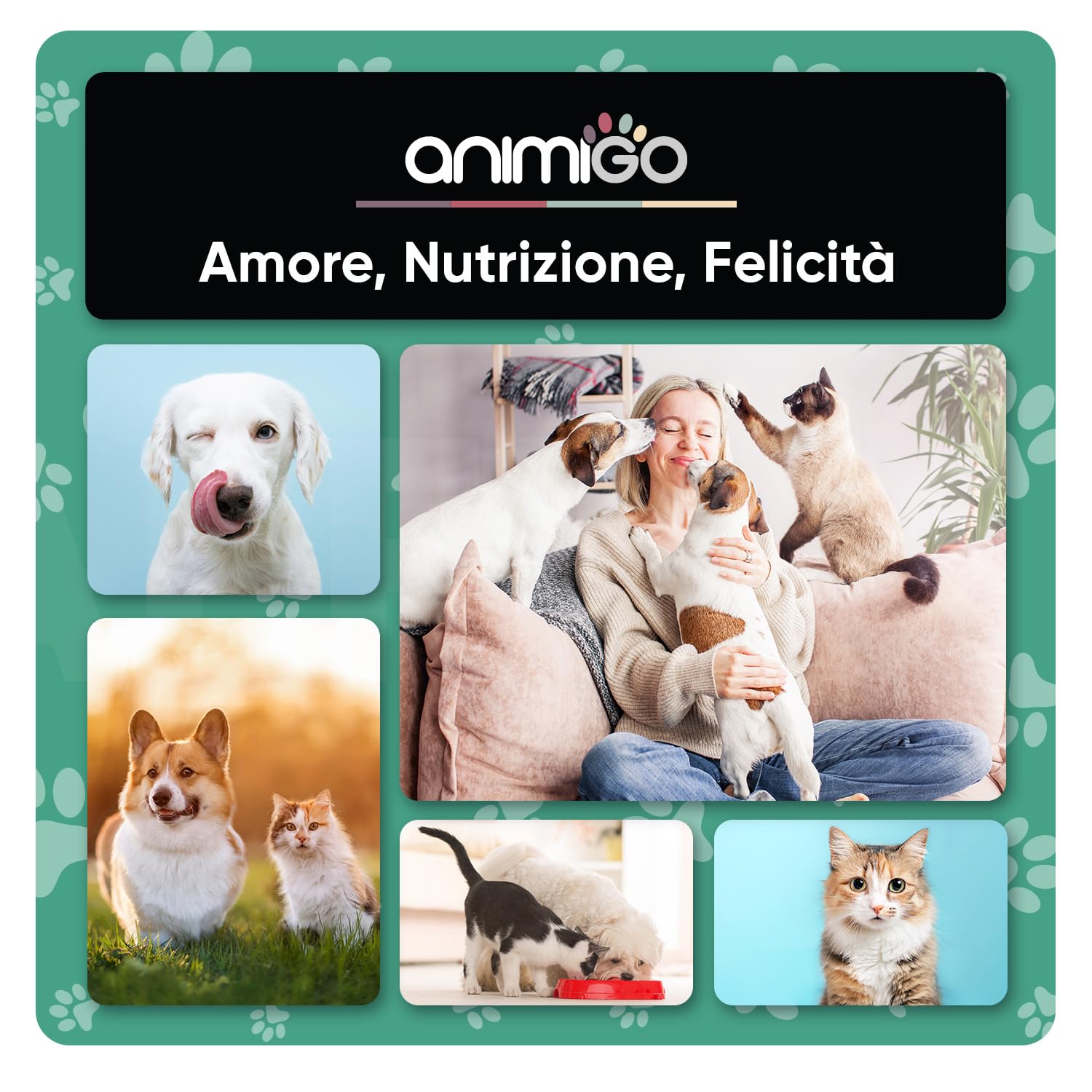 Spray Repellente per Gatti e Cani 250ml, Sapore Amaro, Dissuasore per Gatti e Cani, Spray Anti Graffi Gatto e Cane con Ingredienti Naturali, Disabituante Gatti, Spray Repellente Per Cani Senza Alcool