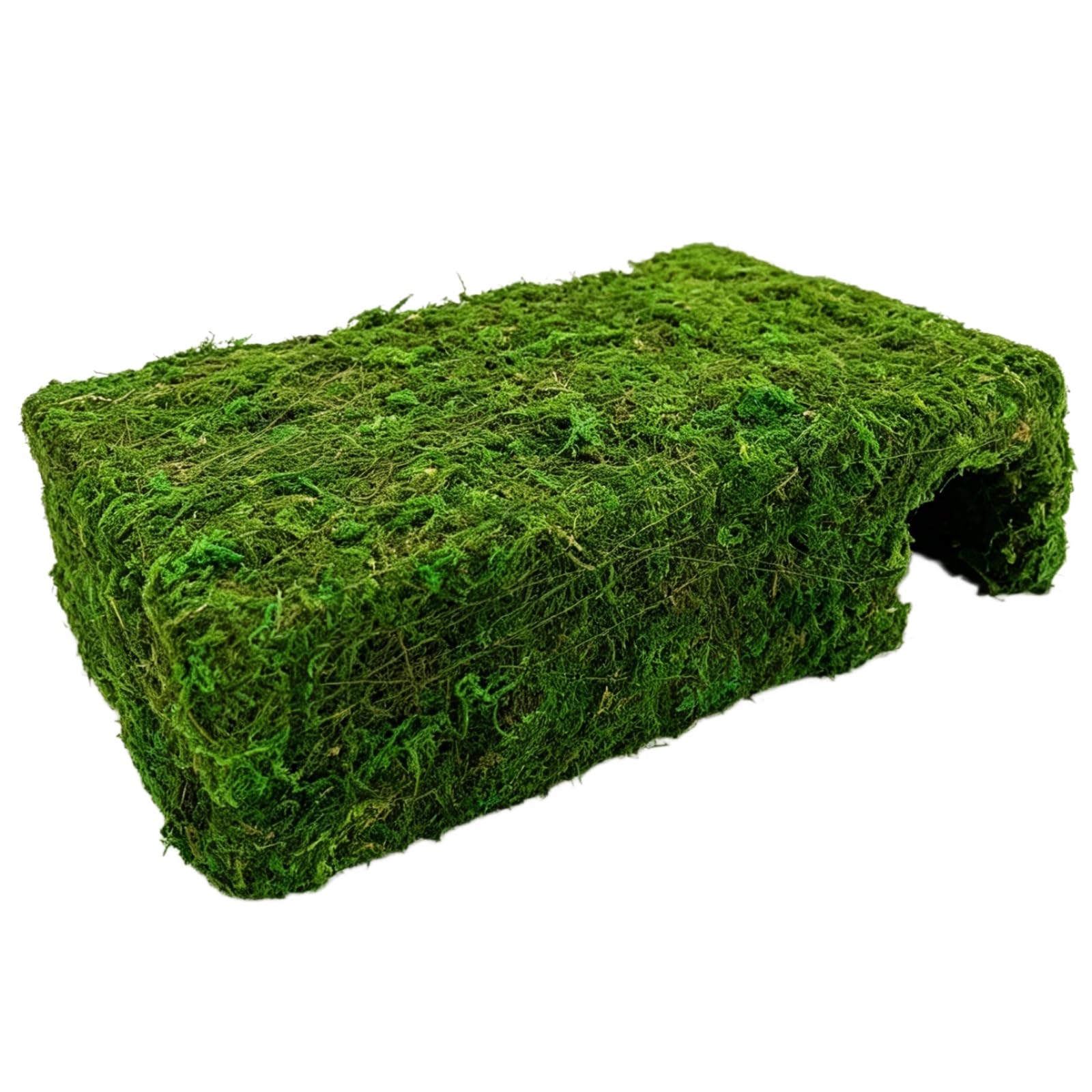 AILAMIAO Snake Hide Cave & Gecko Hideout - Artificial Green Moss Moss Cave for Snakes, Ball Pythons, Bearded Dragons, and Leopard/Crested Geckos - Reptile Tank Accessories (L)