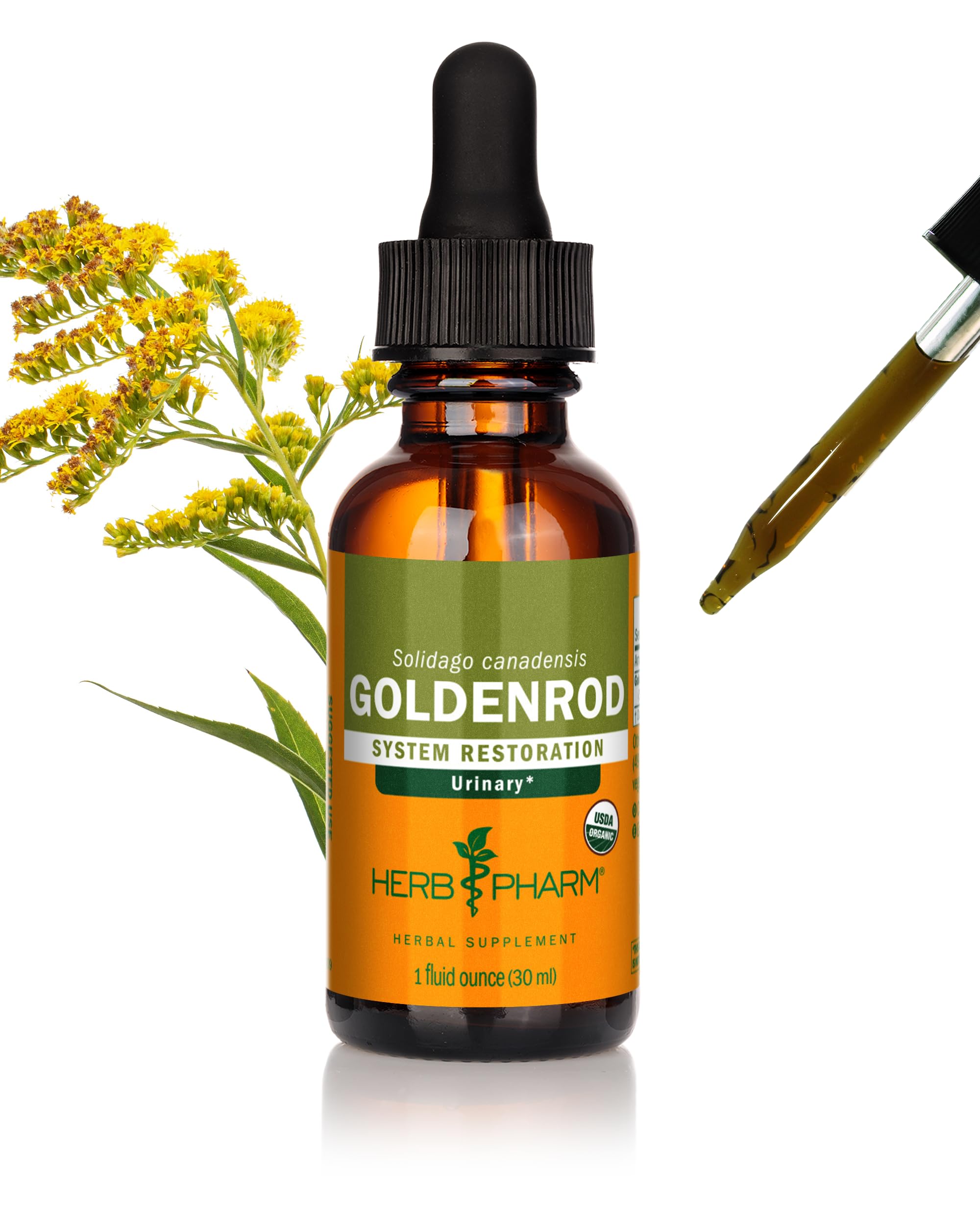 Amazon.com: Herb Pharm Certified Organic Goldenrod Liquid Extract