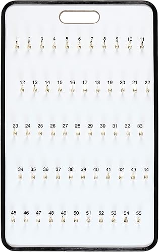 SSWBasics Tablero para llaves con pestañas de cierre automático, 55 ganchos, 18 1/4 pulgadas de ancho x 29 1/2 pulgadas de largo, llave