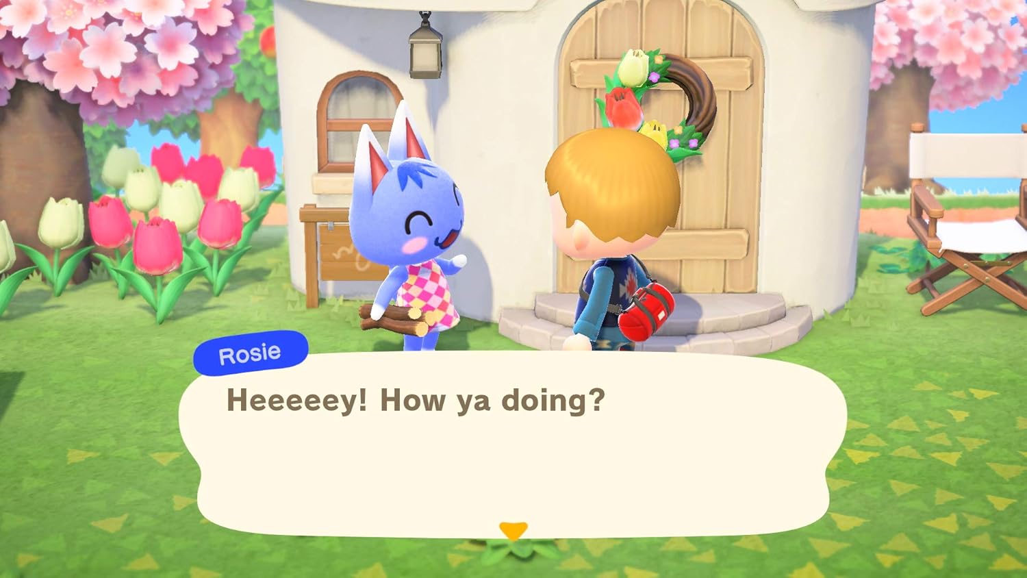 Animal Crossing: New Horizons (CAN Version) - Image 9