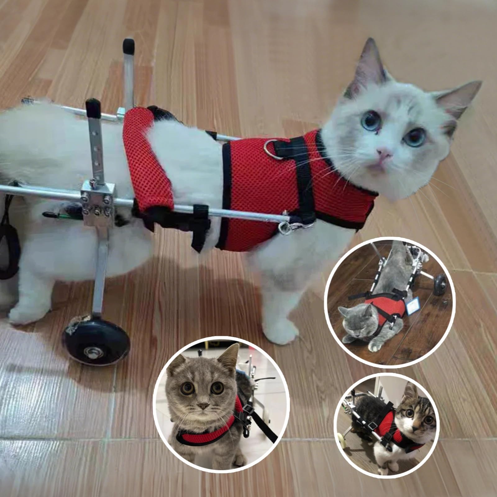 Leichter Haustier-Rollstuhl für Hinterbeine, verstellbares Geschirr für Katzen, Hunde und Kaninchen