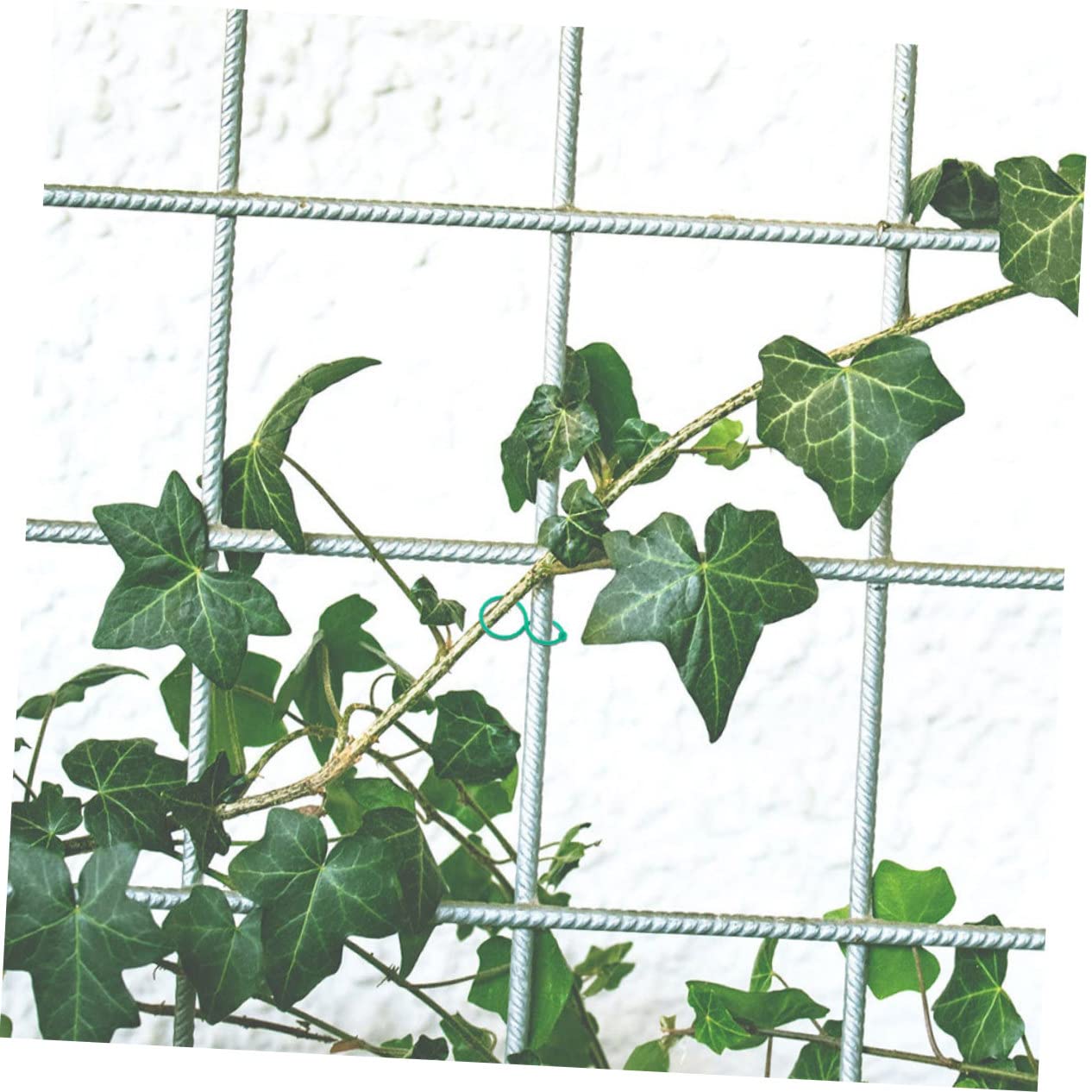 4 Sätze Pflanzen Clips Große Garten Clips Zur Befestigung Von Stängeln Und Ranken Wiederverwendbar Für Tomaten Und Andere Pflanzenstützen 100 Stück * 4