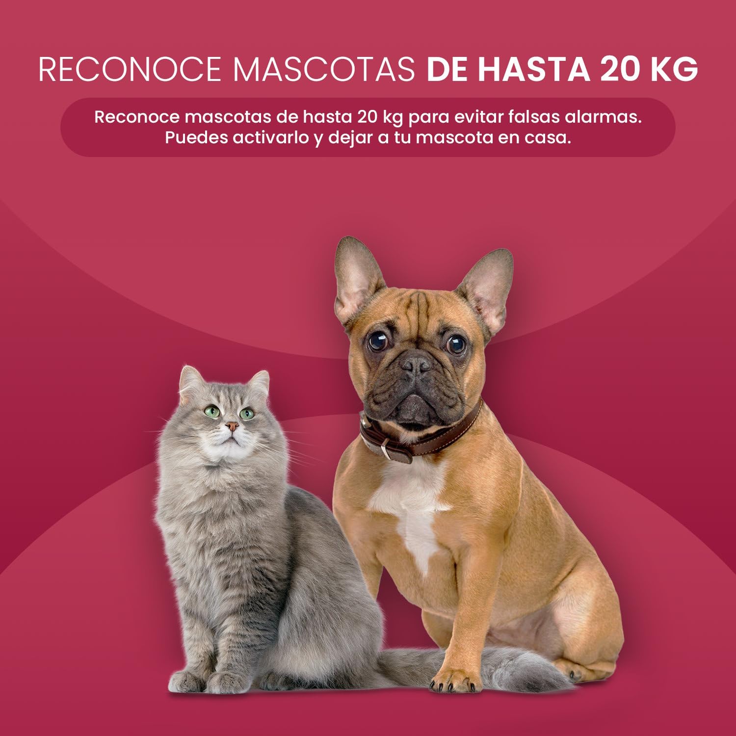 Kit Alarma Casa con Aviso al Movil sin cuotas WiFi y 4G gsm con 7" Pantalla Táctil y Batería de 5000 mAh, Alexa, Aplicación Tuya Smart Life, Detector de Fugas de Agua, SQ7024B