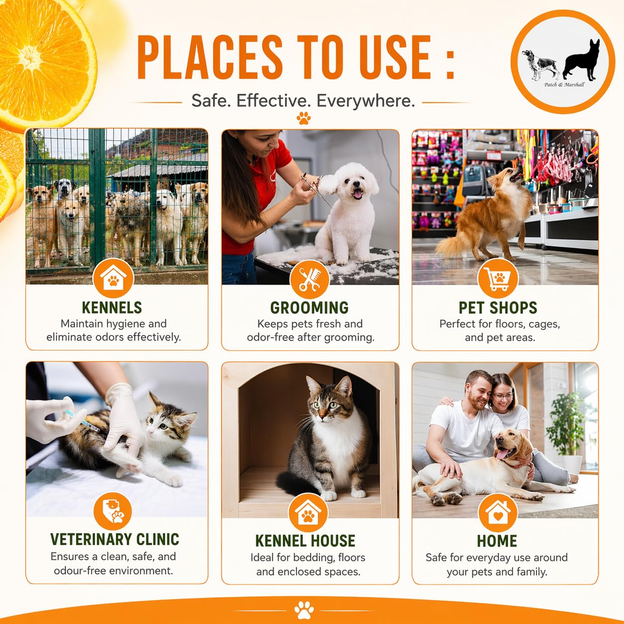 Patch & Marshall Pet Area Cleaner & Odor Neutralizer for Dogs & Cats | Kennel, Floor & Litter Area Cleaner | Removes Pet Odour & Stains | Safe, Non-Toxic Formula, Citrus - 1000 ml 3