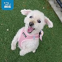 Vista 11 de Best Pet Supplies Voyager Step-In Air - Arnés para mascotas con malla para todo tipo de clima, reflectante, arnés sin tirón para perros y gatos