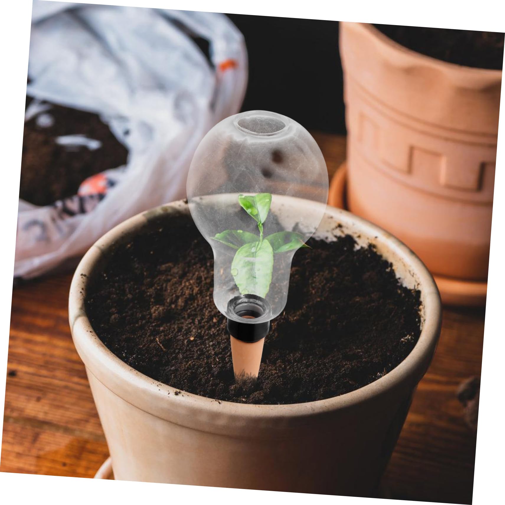 HEMOTON 4 Ensembles Dispositif D'arrosage Automatique pour Mis en Pot Arrosage À Plantes D'intérieur Pointes D'ampoule D'arrosage des Plantes Céramique 2 Pièces * 4