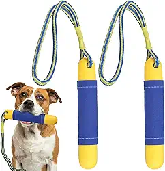 Brinquedos de piscina para cães flutuam na água, brinquedo interativo para treinamento, recuperação, para-choque, quintal, verão, pacote com 2