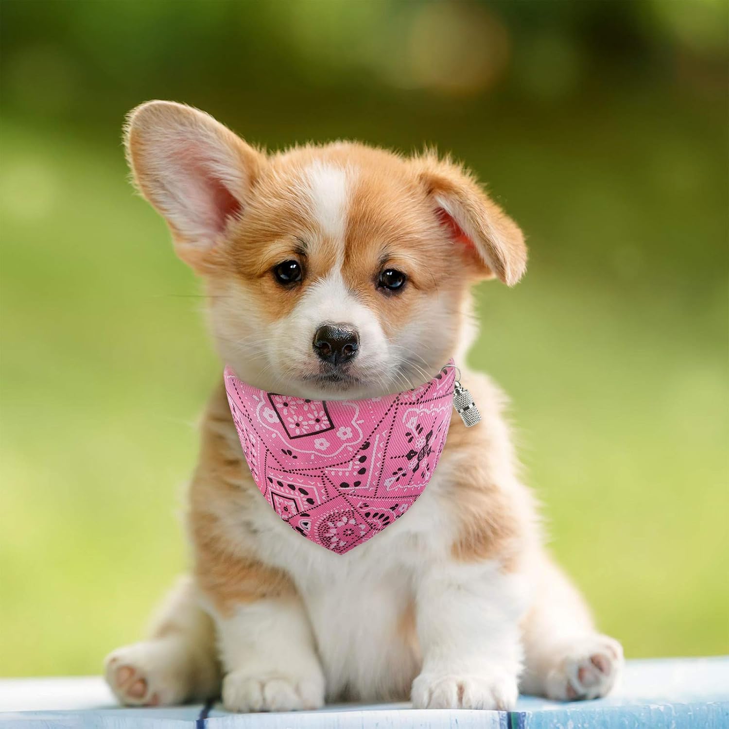 ADXCO 4 Pack Dog Bandanas Collar with Adjustable Strap, Adjustable Strap Bandana for Dogs, Triangle Dog Birthday Bandana Washable Dog Bandana Collar Puppy Scarf