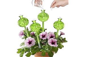 Palitos para regar plantas: Globes de riego automáticos para plantas