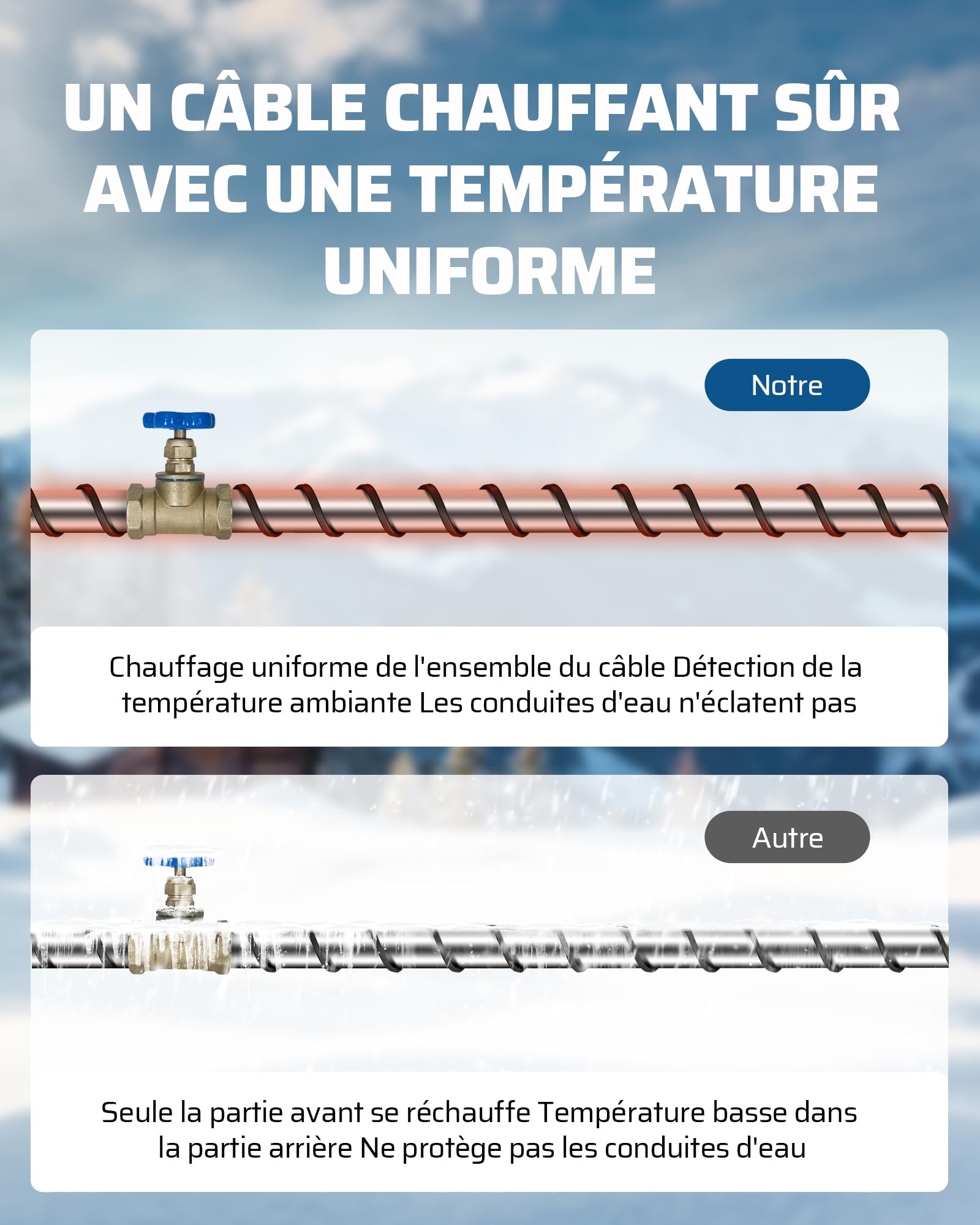 DEWENWILS Câble chauffant 230 V 6 m antigel IP67