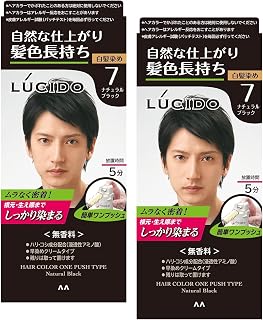 LUCIDO ルシード ワンプッシュケアカラー メンズ用 白髪染め 無香料 ナチュラルブラック 2個セット