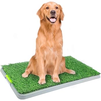 indoor grass mat for dogs