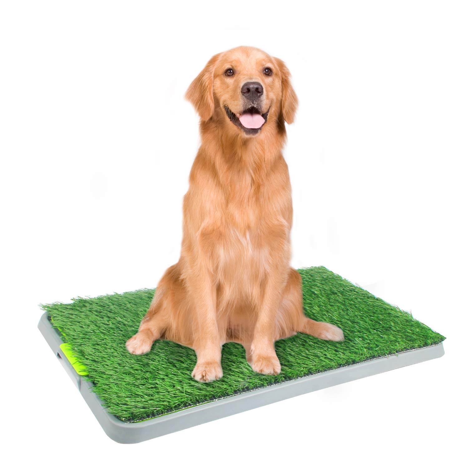 Buy PAWISE Large Dog Pee Grass Training Mat, Artificial Dog Potty Grass