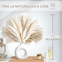 Vista 3 de 70 UNIDADES Hierba de Pampa Seca Natural Estilo Boho para Decoración del Hogar Ramo de Phragmites Flores Secas para Arreglos Florales de Boda