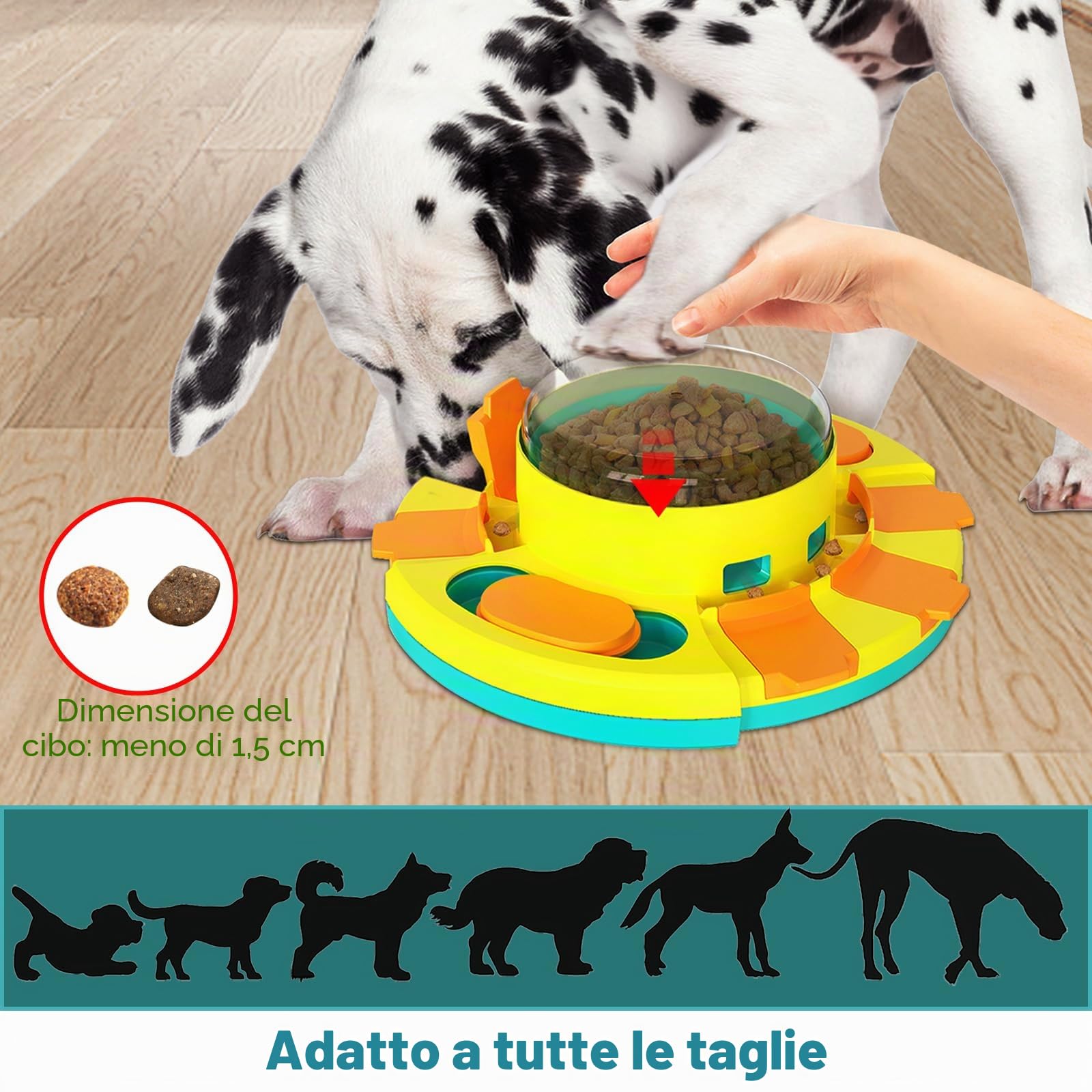 Giochi Cani intelligenza, Giochi intelligenti per Cani Gioco Cane interattivo training comportamentale migliorare il IQ-Livello 2 (Intermedio)