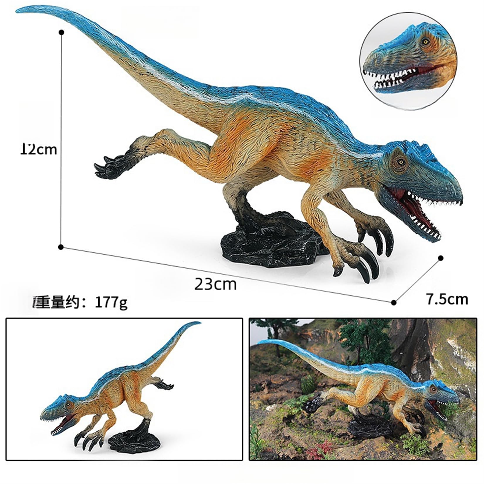 Amazon | MAIBED ユウティラヌス 青 可動フィギュア 口が開閉可能 23cm