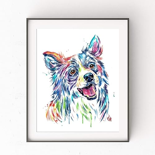 border collie gifts amazon