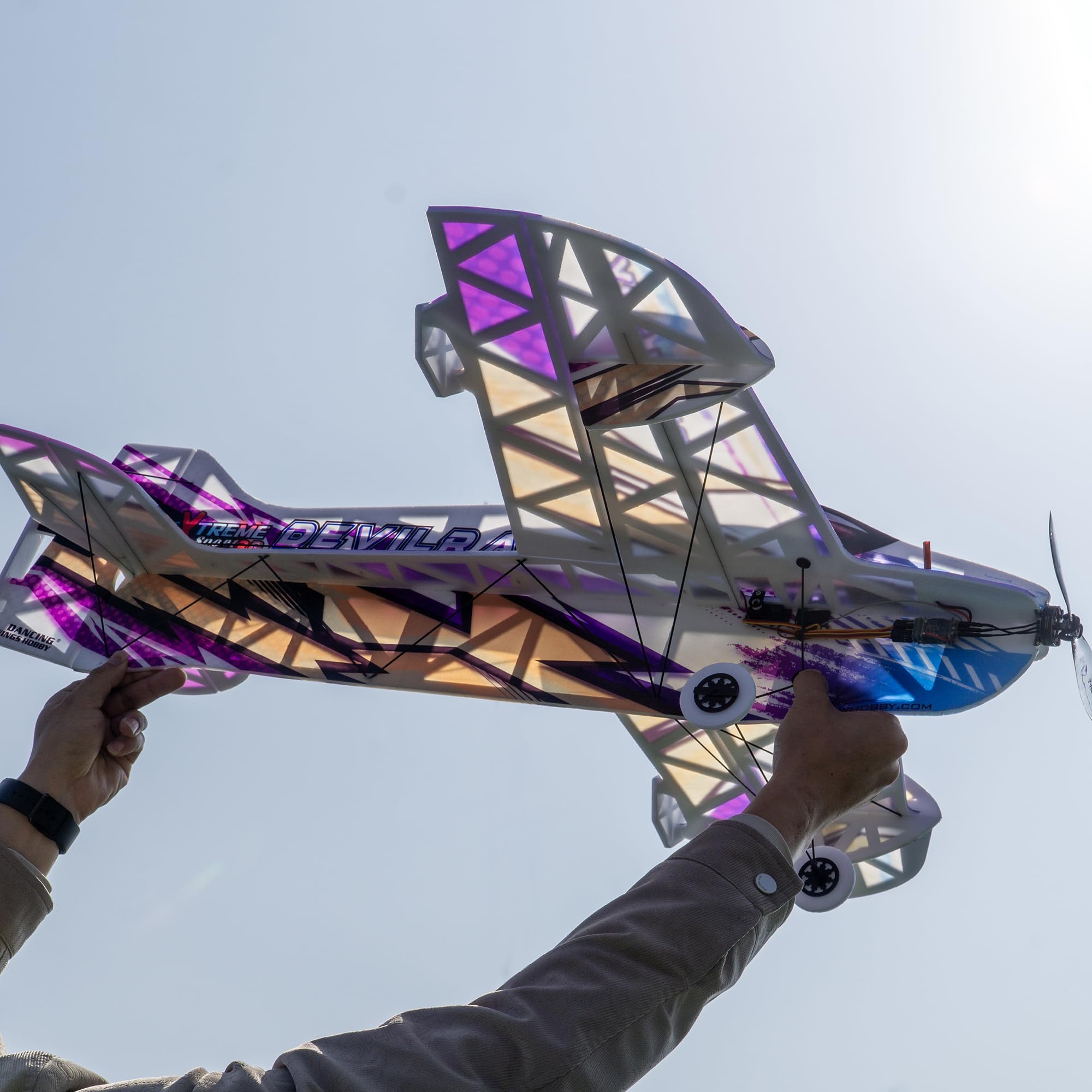 F3P - Kit de avión RC para interiores - Devil Ray - Avión RC de espuma de envergadura de 800 mm, avión 3D ultraligero modelo acrobático para adultos aficionados (kit Devil Ray + motor + ESC
