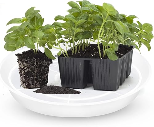 Miniatura 4 de OUPSAUI Bandeja para macetas de 12, 14, 16, 18, 20 pulgadas, paquete de 6 platillos transparentes para interiores y exteriores, bandeja de goteo de