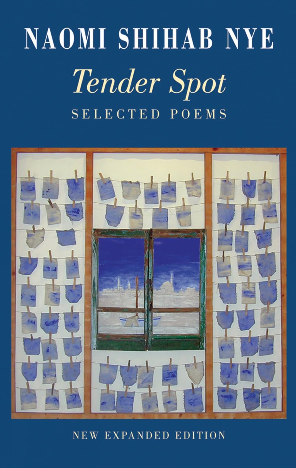 Tender Spot Selected Poems by Naomi Shihab Nye (Paperback Book)