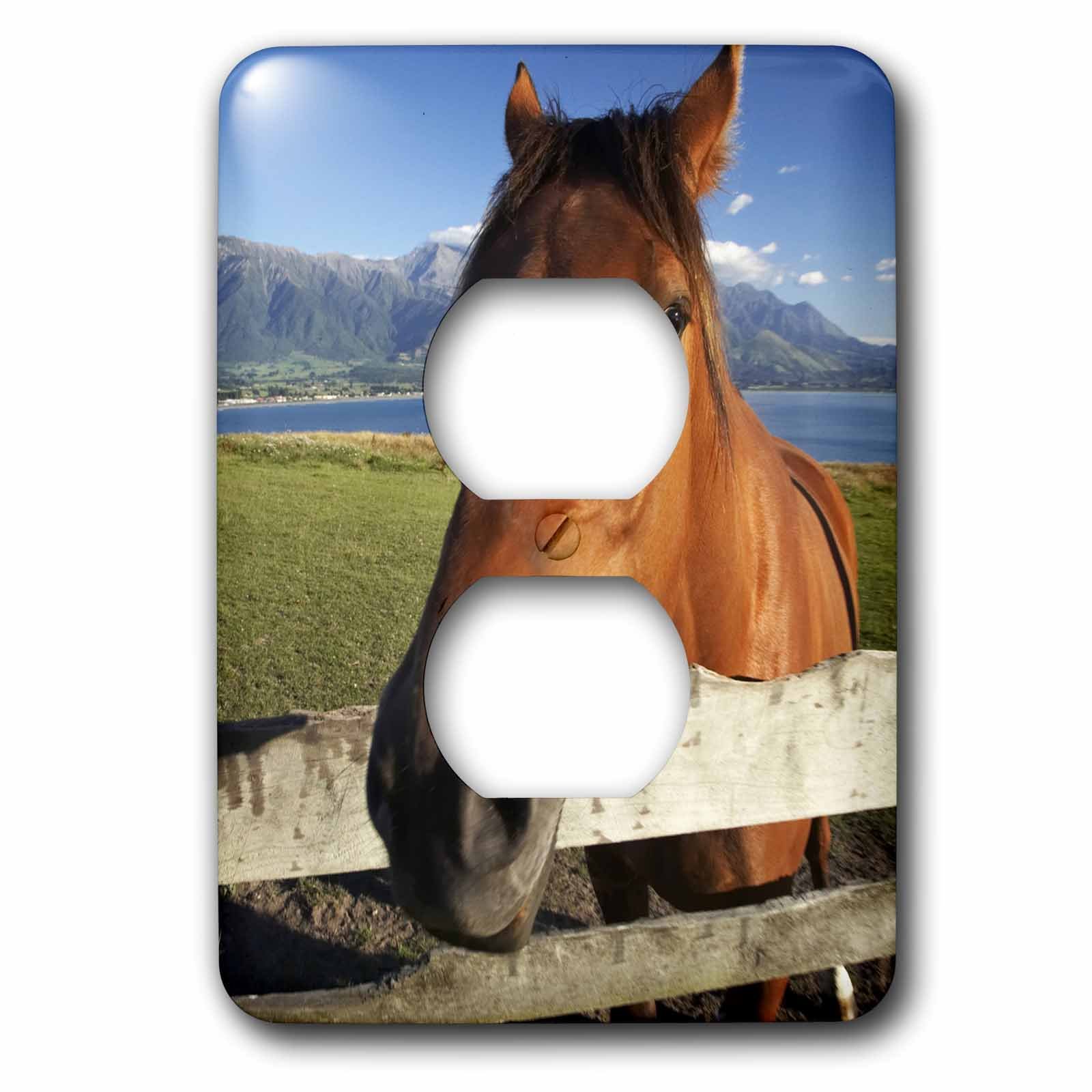 Couvercle de prise cheval 3dRose cache prise plastique jauni usé
