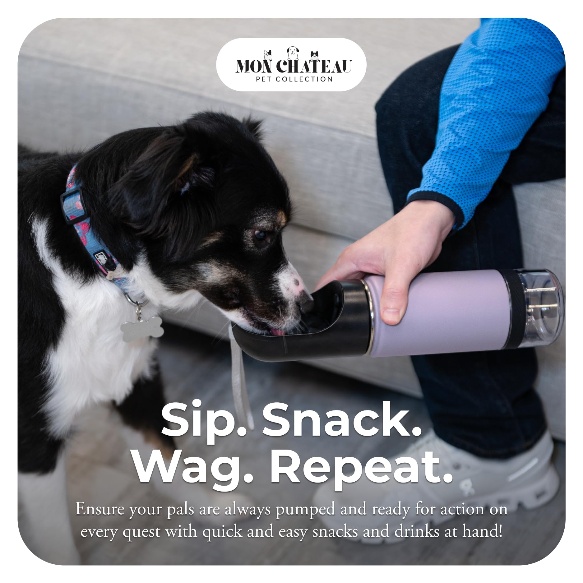 Mon Chateau Borraccia portatile per cani da 400 ml, con contenitore per snack da 113,4 g, corpo in acciaio inox a doppia parete, a prova di perdite, lavabile in lavastoviglie, bottiglia da viaggio per