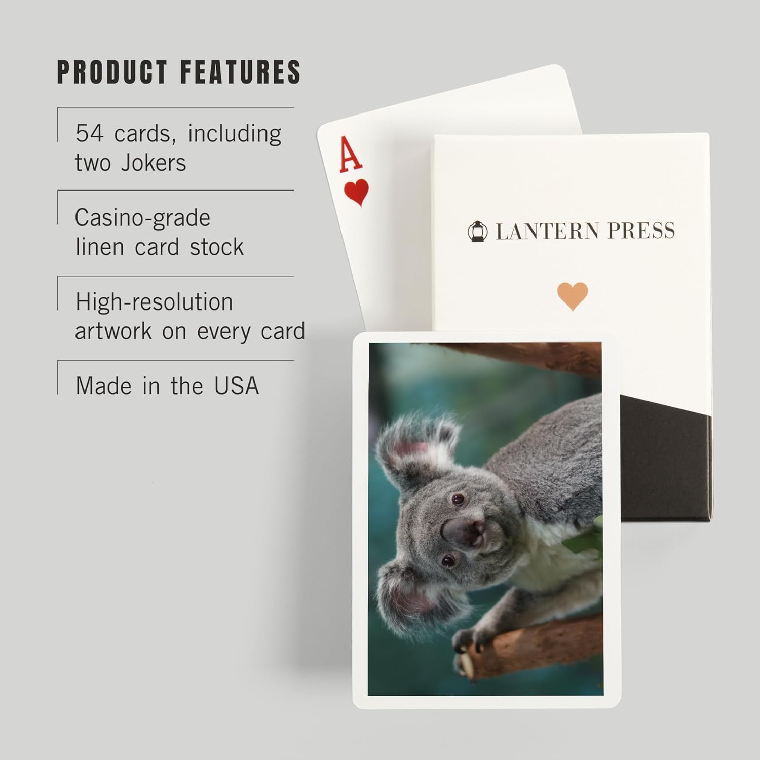 Lantern Press Koala, 52 Playing Cards for Adults, Poker Size Card Deck