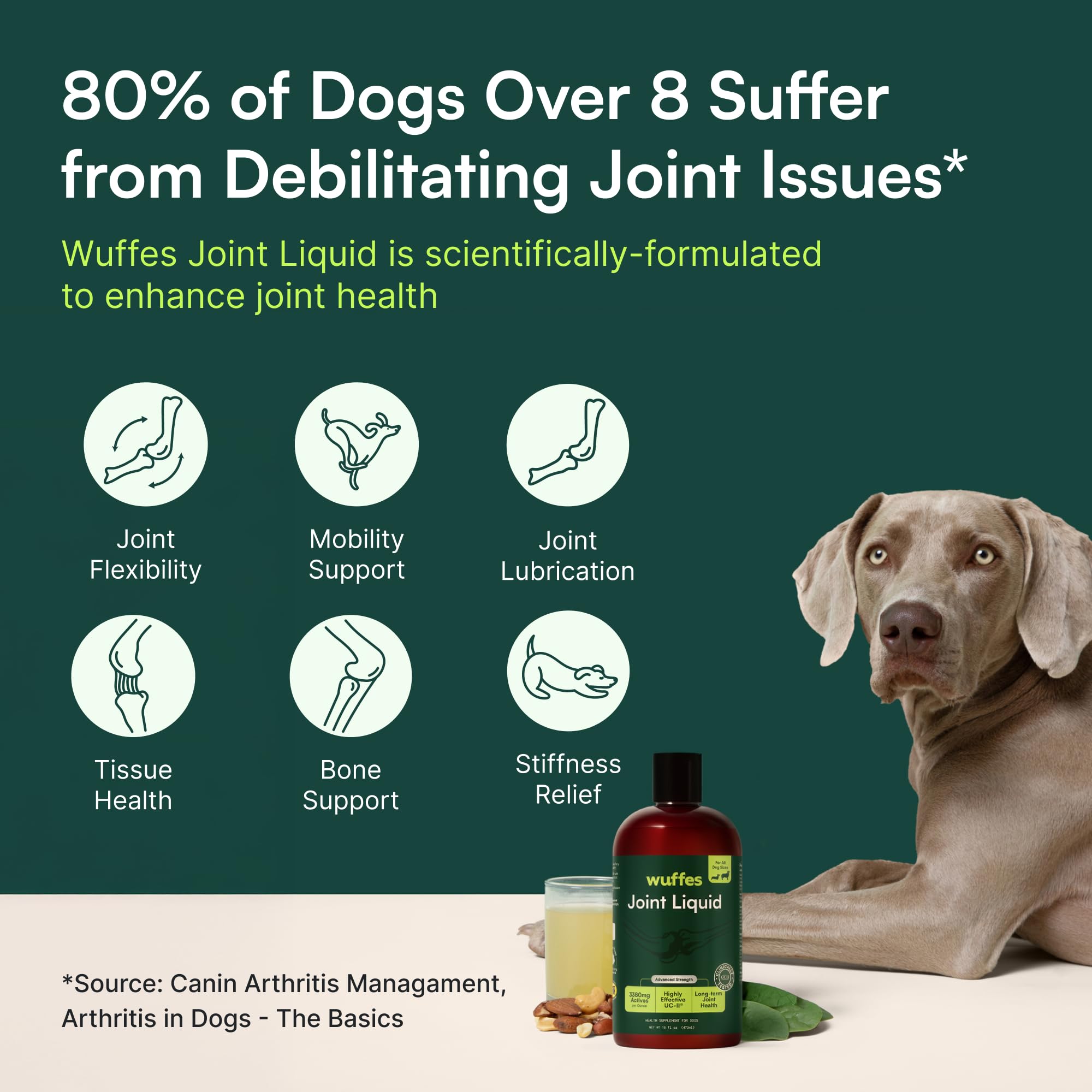 Wuffes Advanced Joint Liquid for Dogs, Hip & Joint Support Supplement with Glucosamine, Chondroitin, UC-II&reg; Collagen, and MSM, for Small & Large Breeds, 16 Oz - image 7