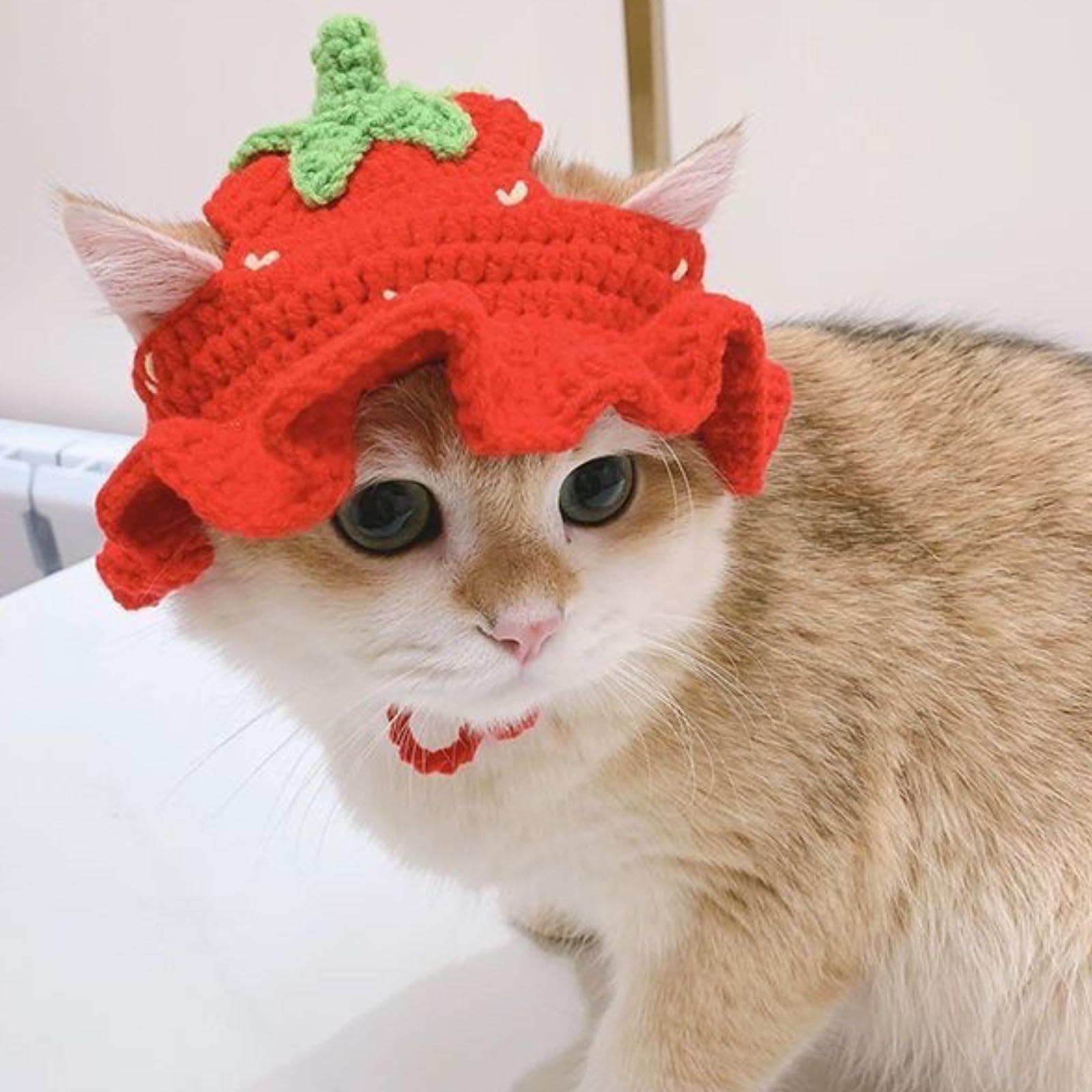Amazon | Leap Raupe 猫 被り物 かぶりもの 帽子 コスプレ 苺 イチゴ