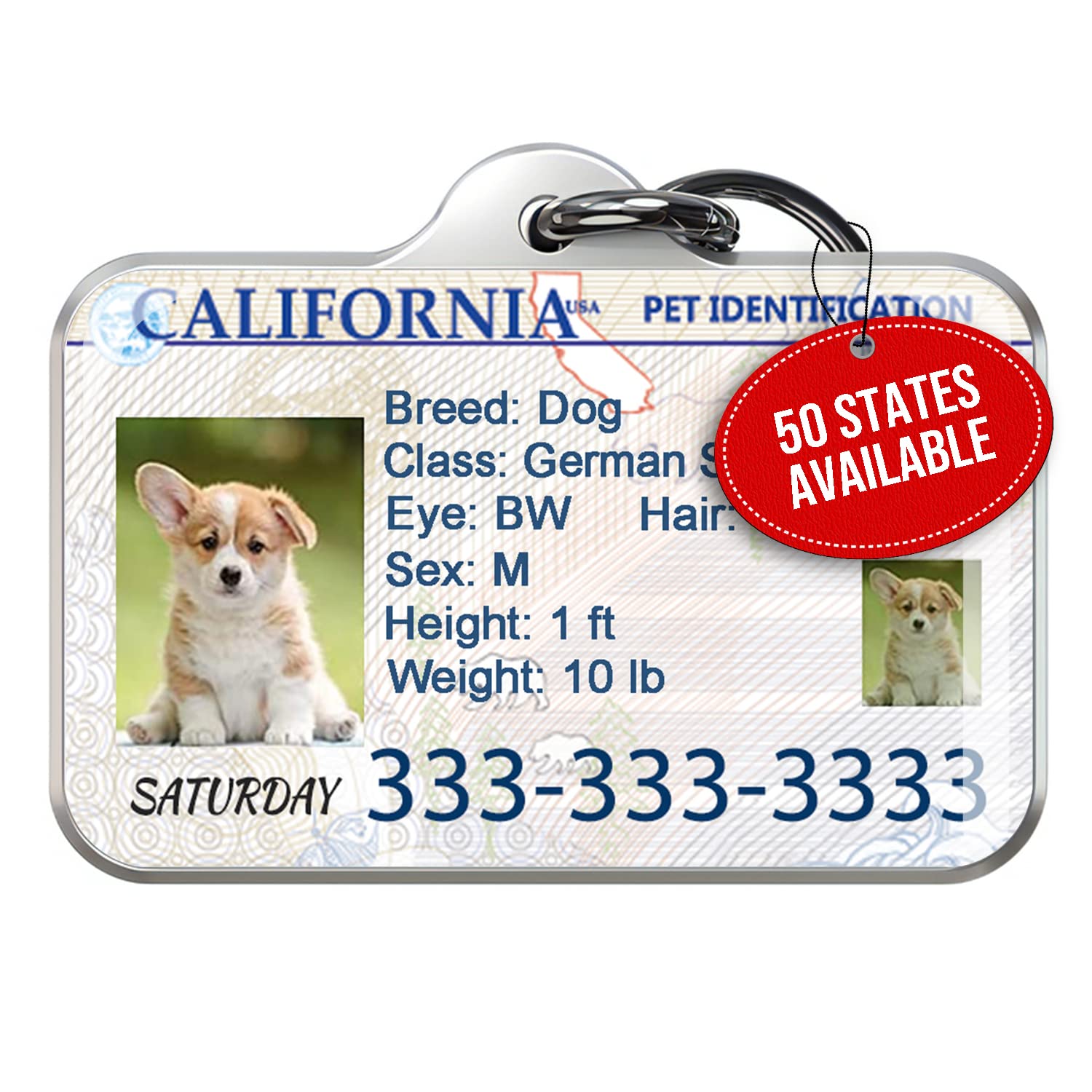 What Is A License Number For A Dog