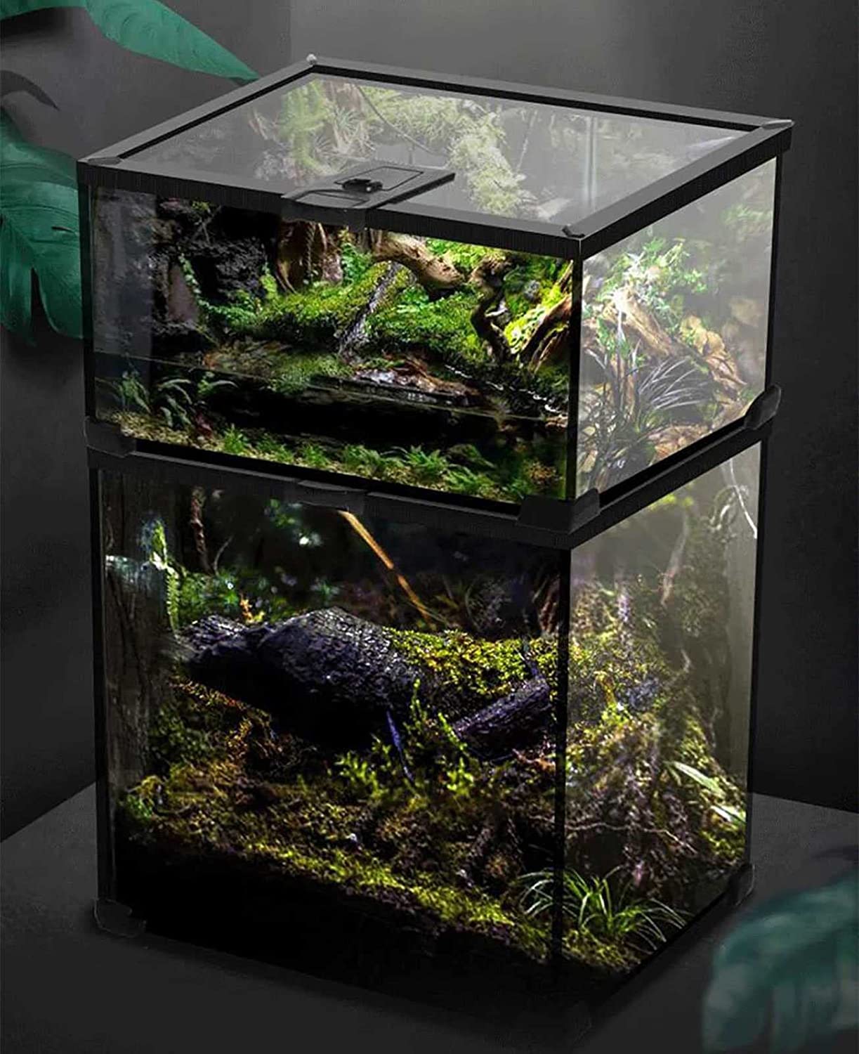 Amazon | 給餌ケージ 飼育ケース 爬虫類 昆虫飼育ケージ 通気性