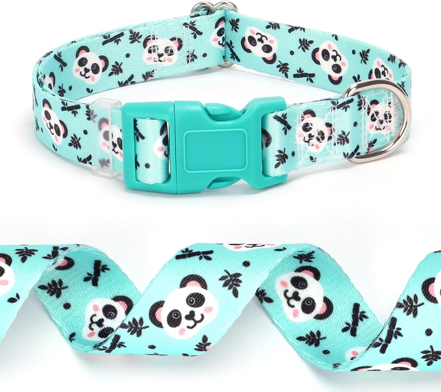 View 5