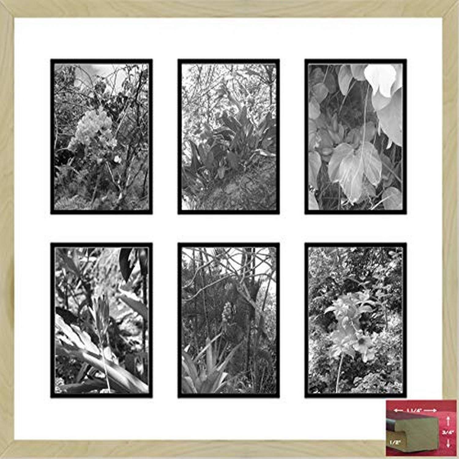 Frames by Mail Light Maple 6 Opening Picture Frame, 4 x 6 Amazon.in