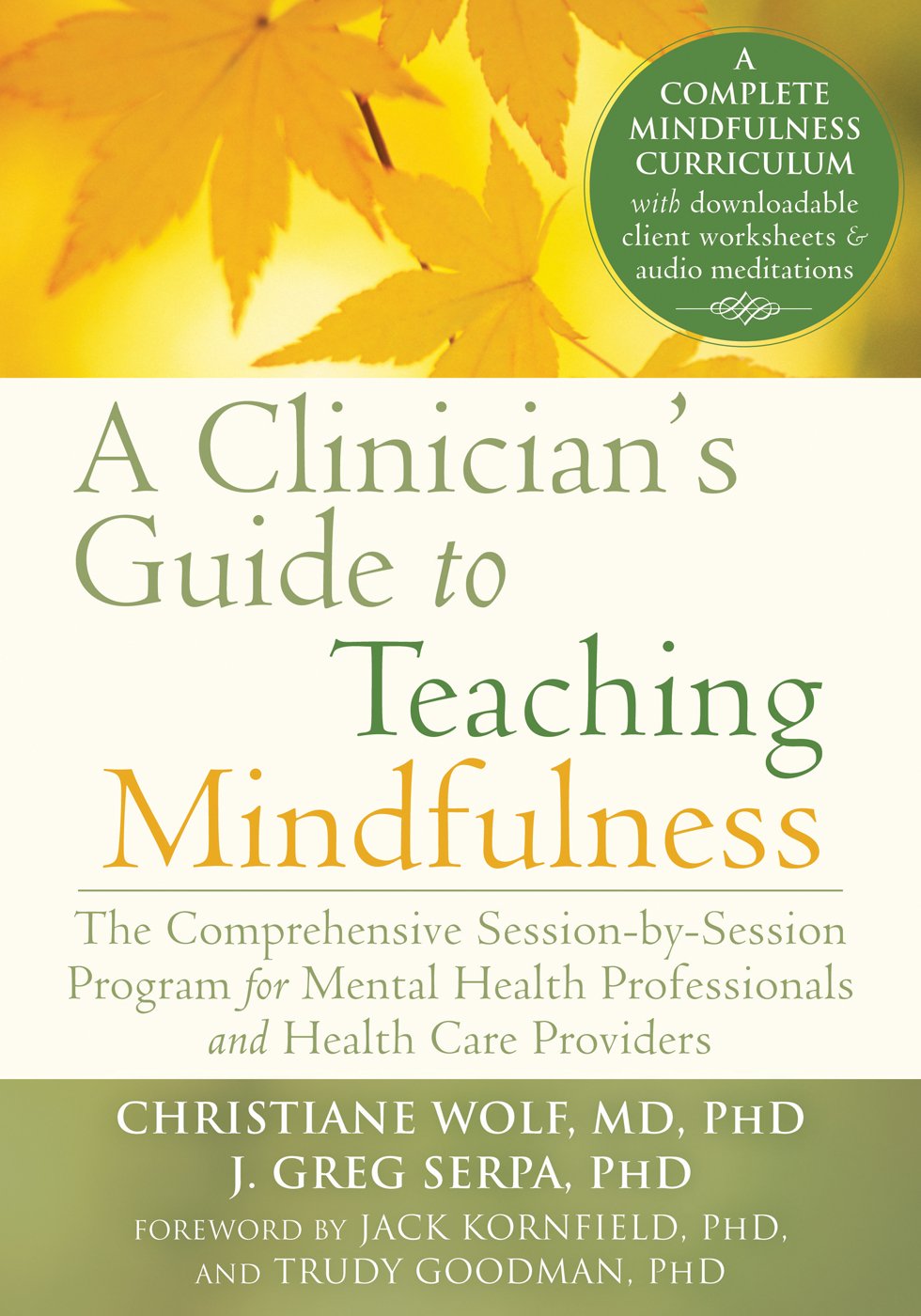 A Clinician's Guide to Teaching Mindfulness: The  by Christiane Wolf PAPERBACK