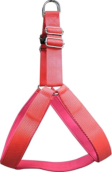 Smart Doggie Padded Dog Chest Belt Harness for Puppy (Red)
