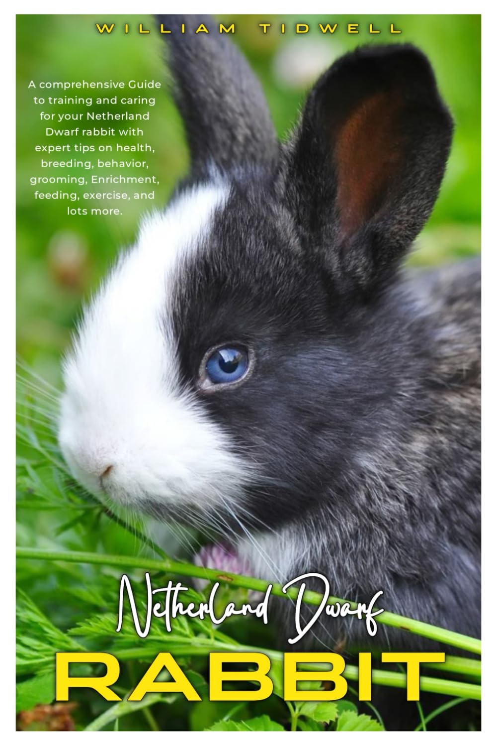 NETHERLAND DWARF RABBIT: A comprehensive guide to training and caring for your Netherland Dwarf Rabbit with expert tips on health, breeding, behavior, grooming, enrichment, feeding, exercise, and lots