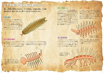 古生物の生活史 古生物のしたたかな生き方』土屋健 | 幻冬舎