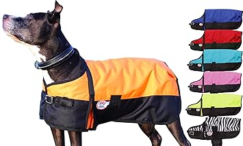 Derby 600D Medium Weight Waterproof Breathable Insulated Dog Coat, Small, Orange