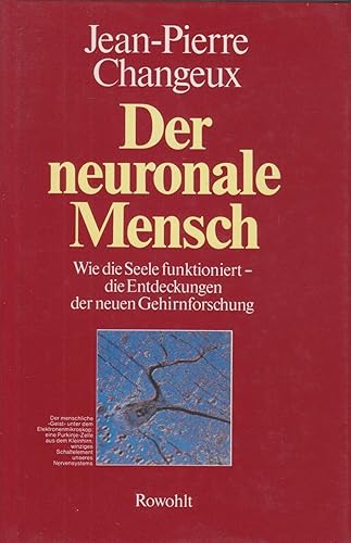 Der neuronale Mensch: Wie die Seele funktioniert: die Entdeckungen der neuen Gehirnforschung