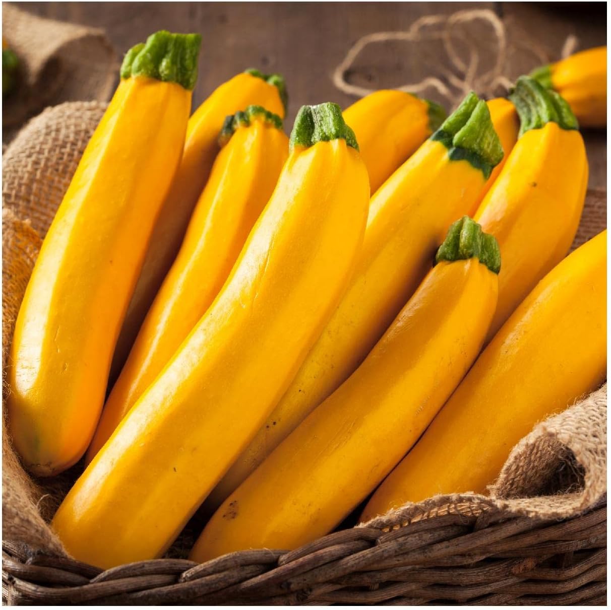 Everwilde Farms - 1 Lb Golden Zucchini Summer Squash Seeds - Gold Vault